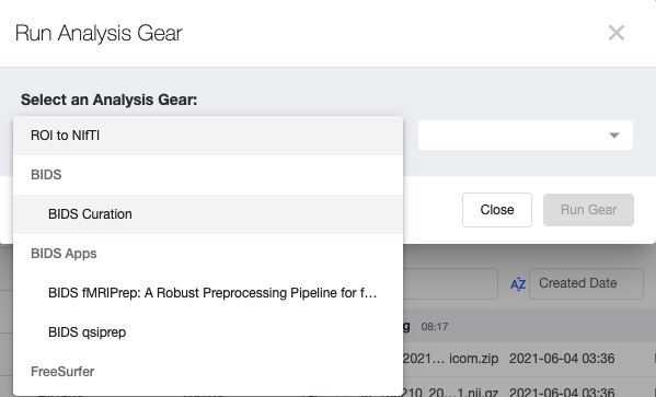 BIDS Curation Gear in the dropdown menu